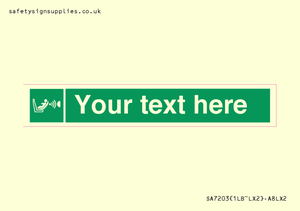 Custom safe condition child seat presence orientation detection system